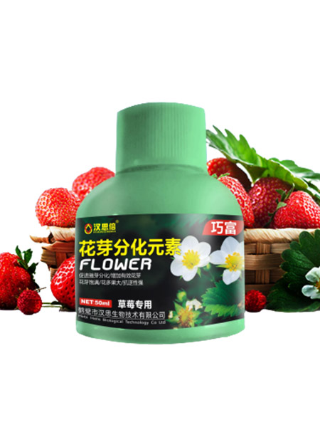 產(chǎn)品名稱